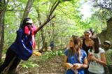 Promenons nous dans les bois 48 * 5184 x 3456 * (8.7MB)